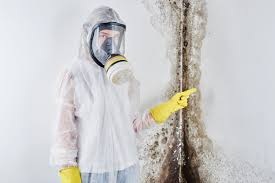 Why You Should Choose Our Mold Remediation Services in Shaw, MS